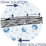 Forward Osmosis Cells